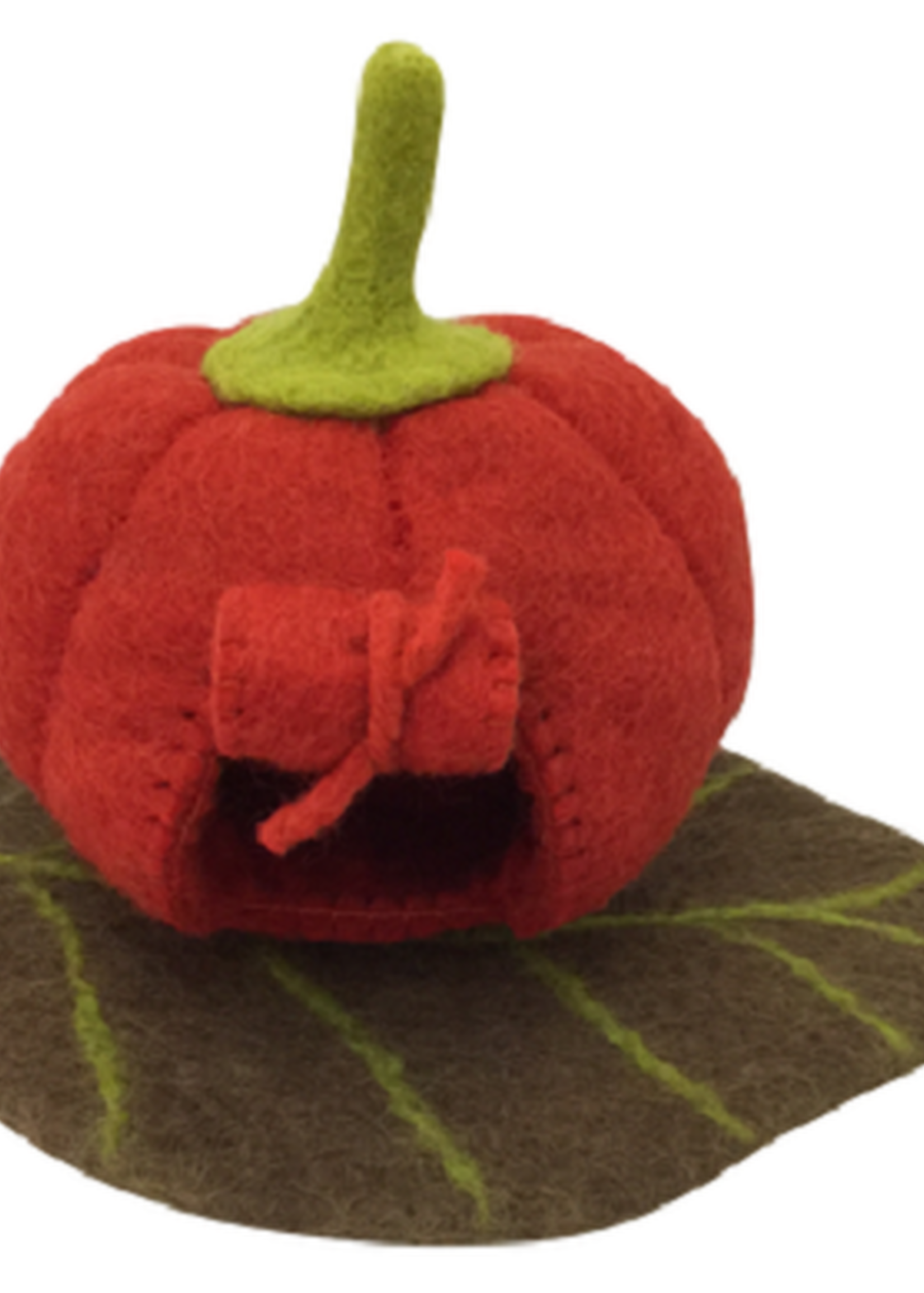 Papoose Fairy Pumpkin House – Papoose