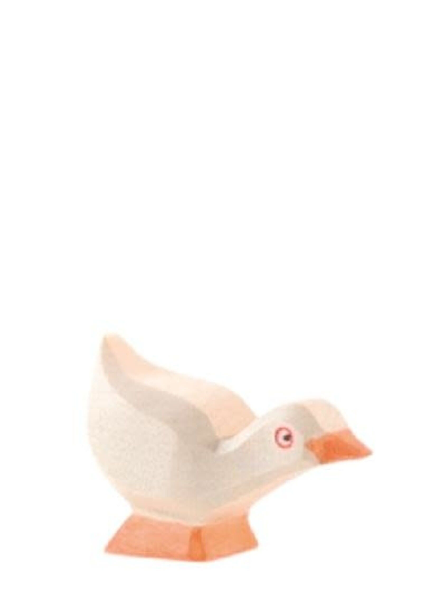 Ostheimer Goose - Gosling head low