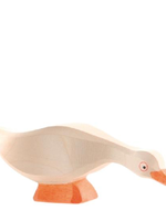 Ostheimer Goose - head low