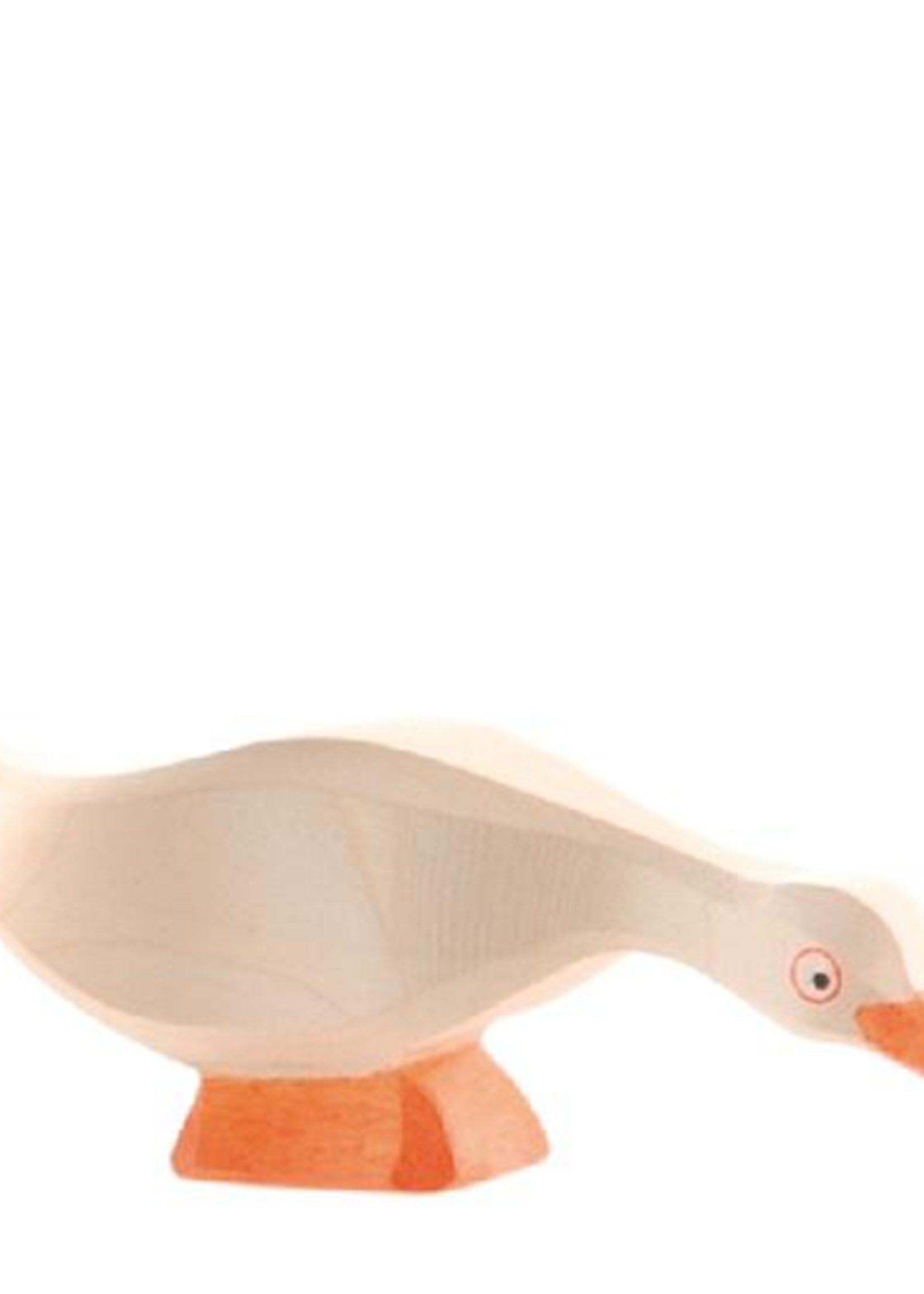 Ostheimer Goose - head low