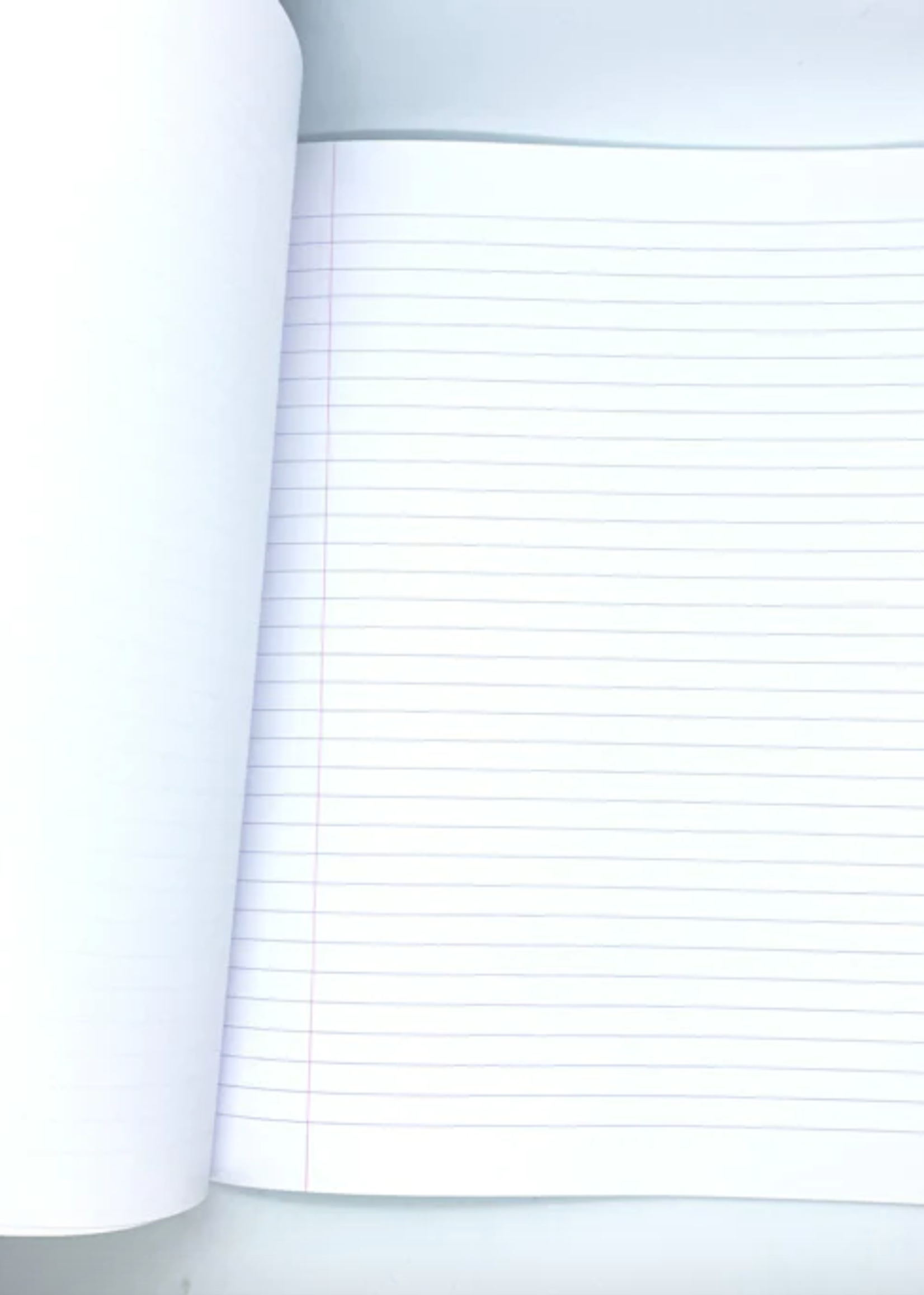 Mercurius Exercise book large 21x30cm blank/lined