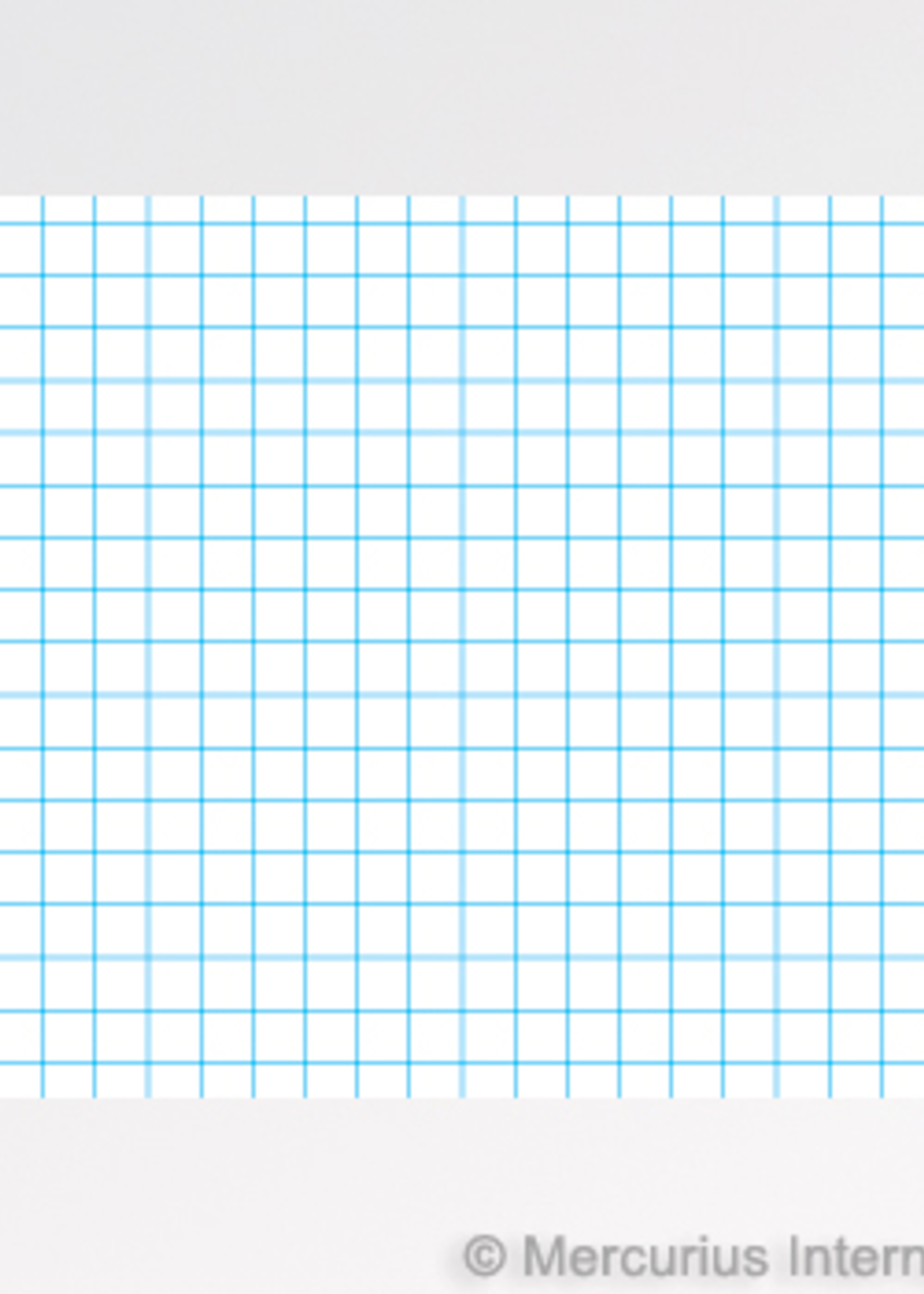 Mercurius Exercise book large 21x30cm graph 5x5mm