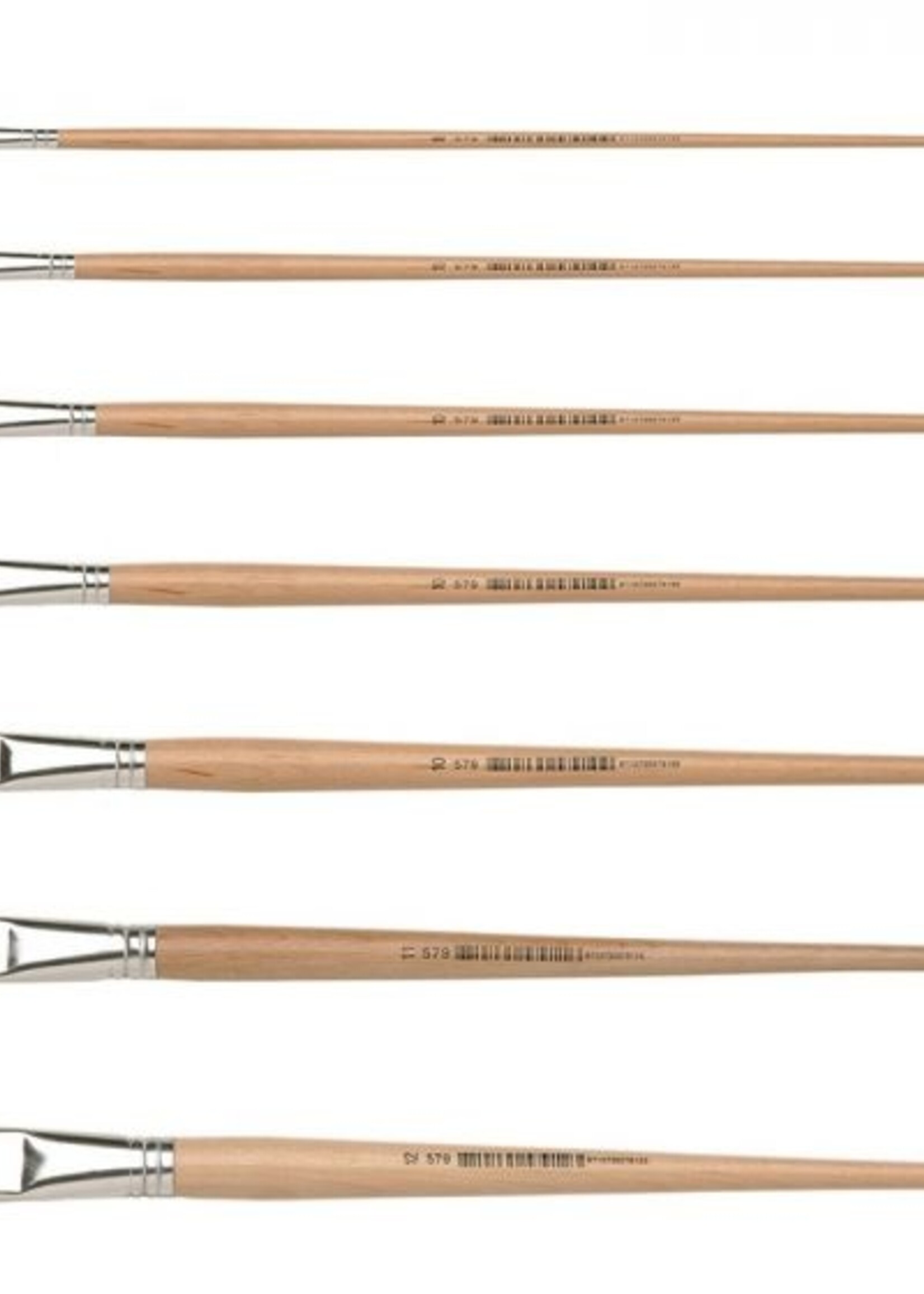 Mercurius Paint Brush Artist Boar