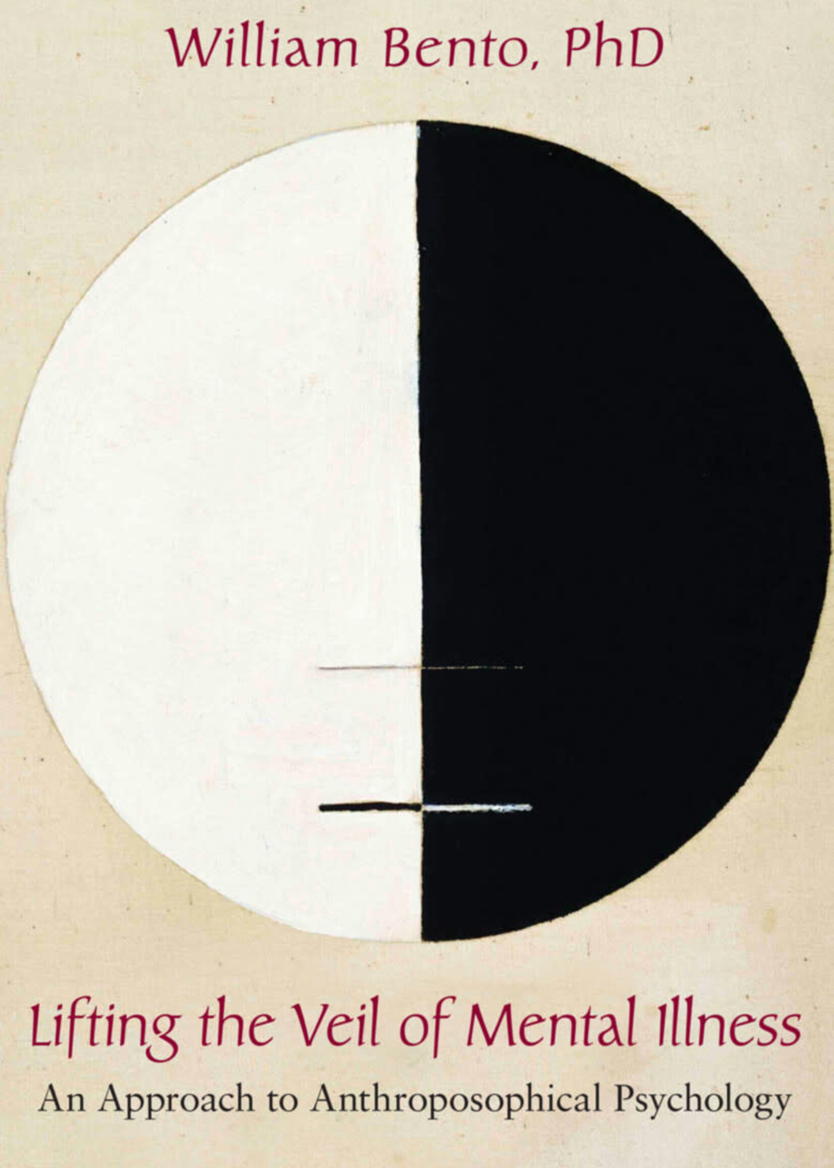 Steiner Books Lifting The Veil Of Mental Illness: An Approach To Anthroposophical Psychology