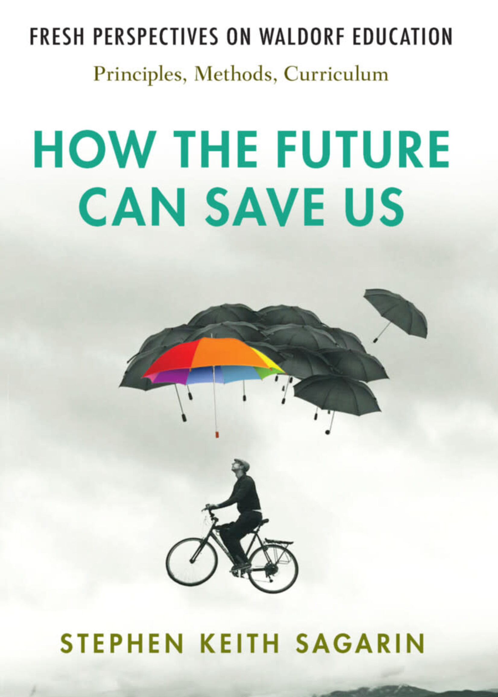 SteinerBooks How the Future Can Save Us