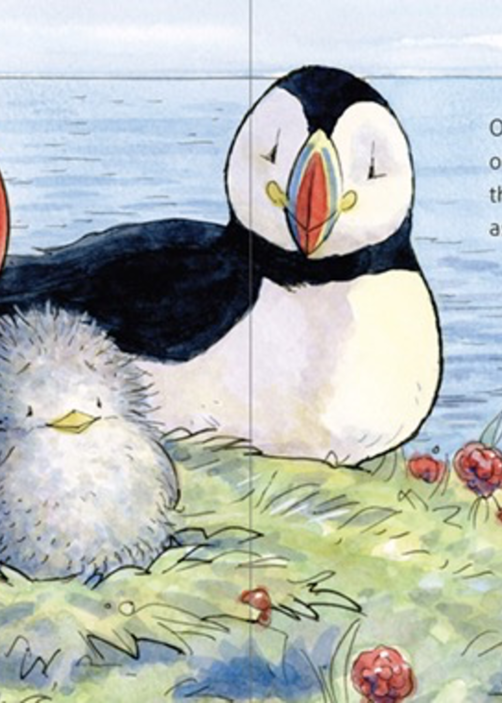Floris Books Skye the Puffling - A Wee Puffin Board Book
