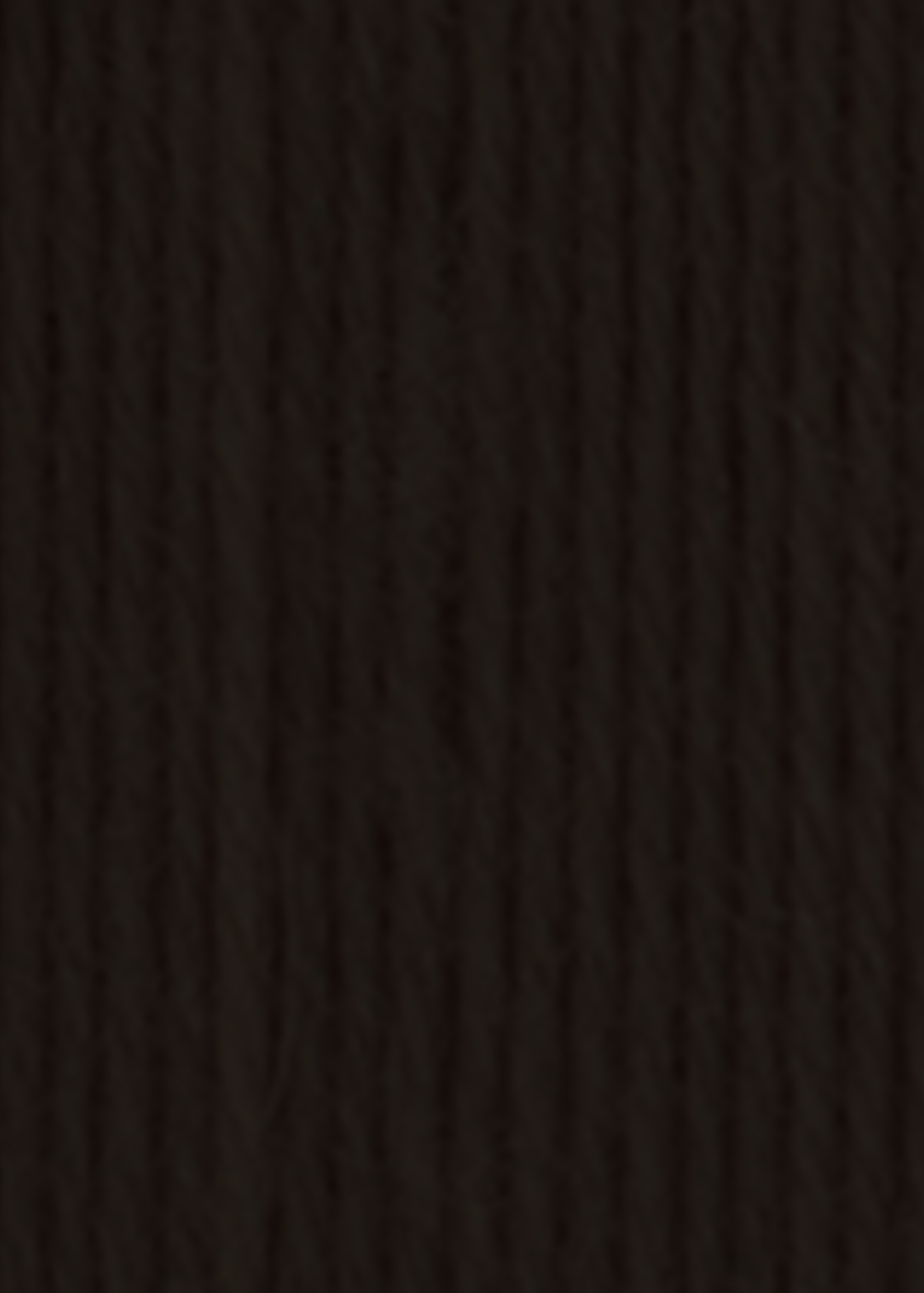 Biolana Bio Lana 100% Organic Wool