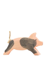 Ostheimer Spotted Piglet running