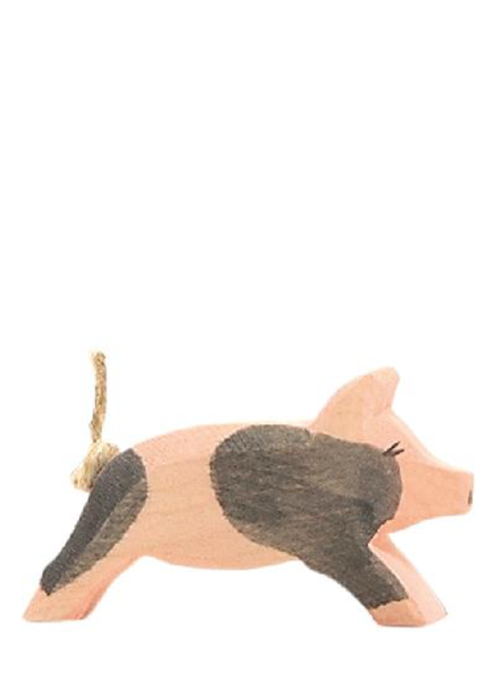 Ostheimer Spotted Piglet running