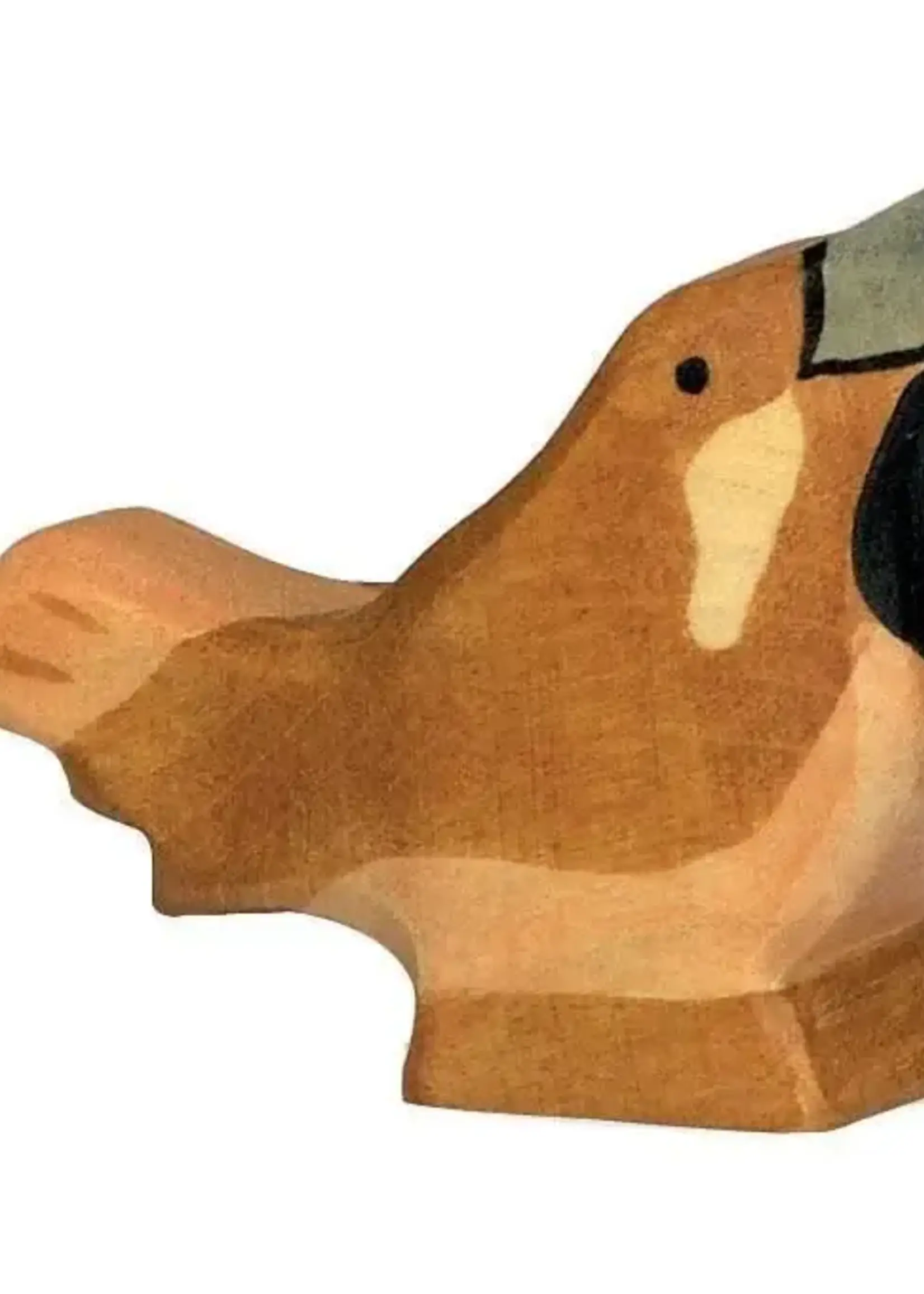 Holztiger Sparrow
