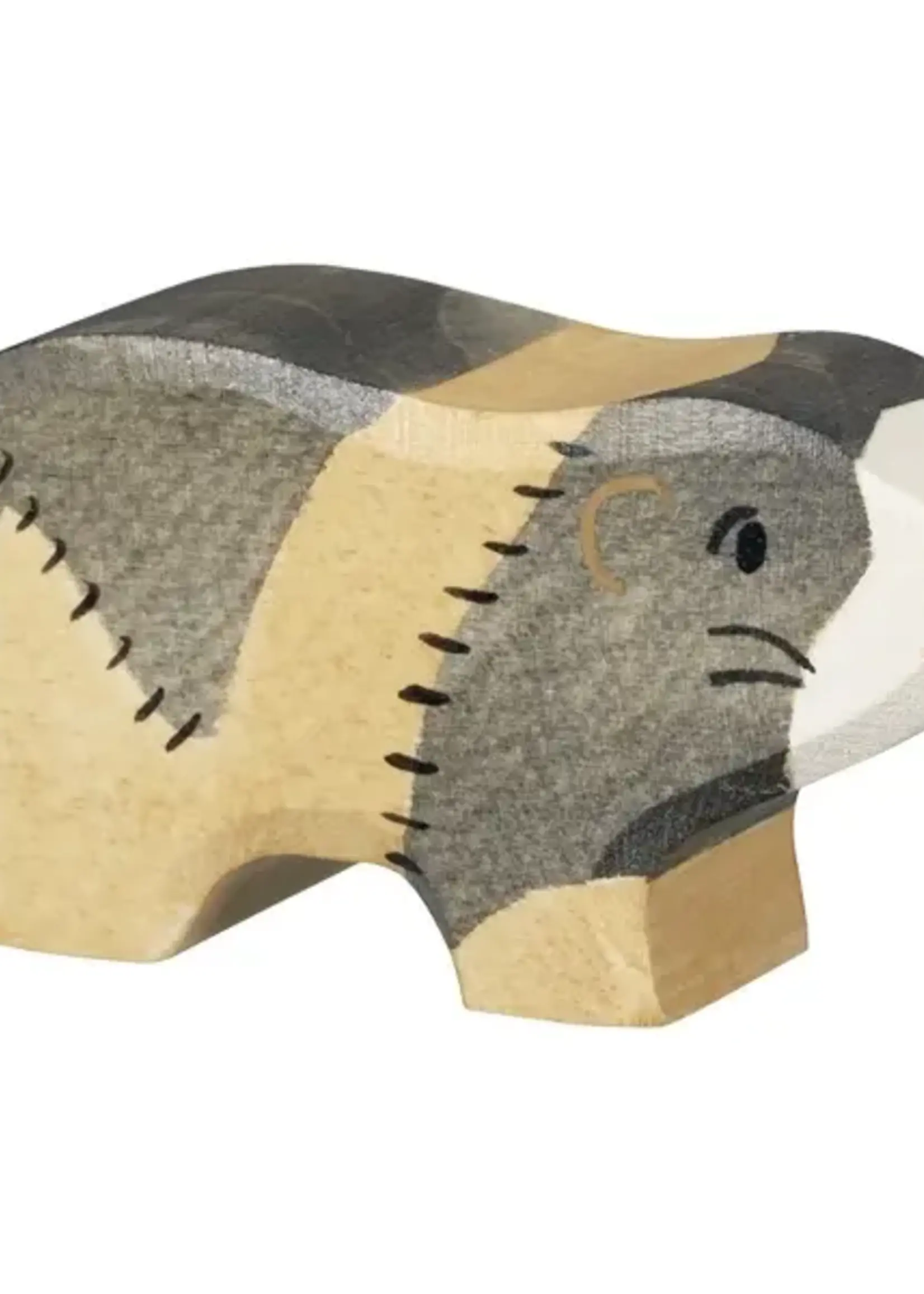 Holztiger Guinea pig