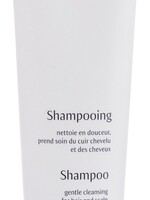 Dr. Hauschka Shampoo