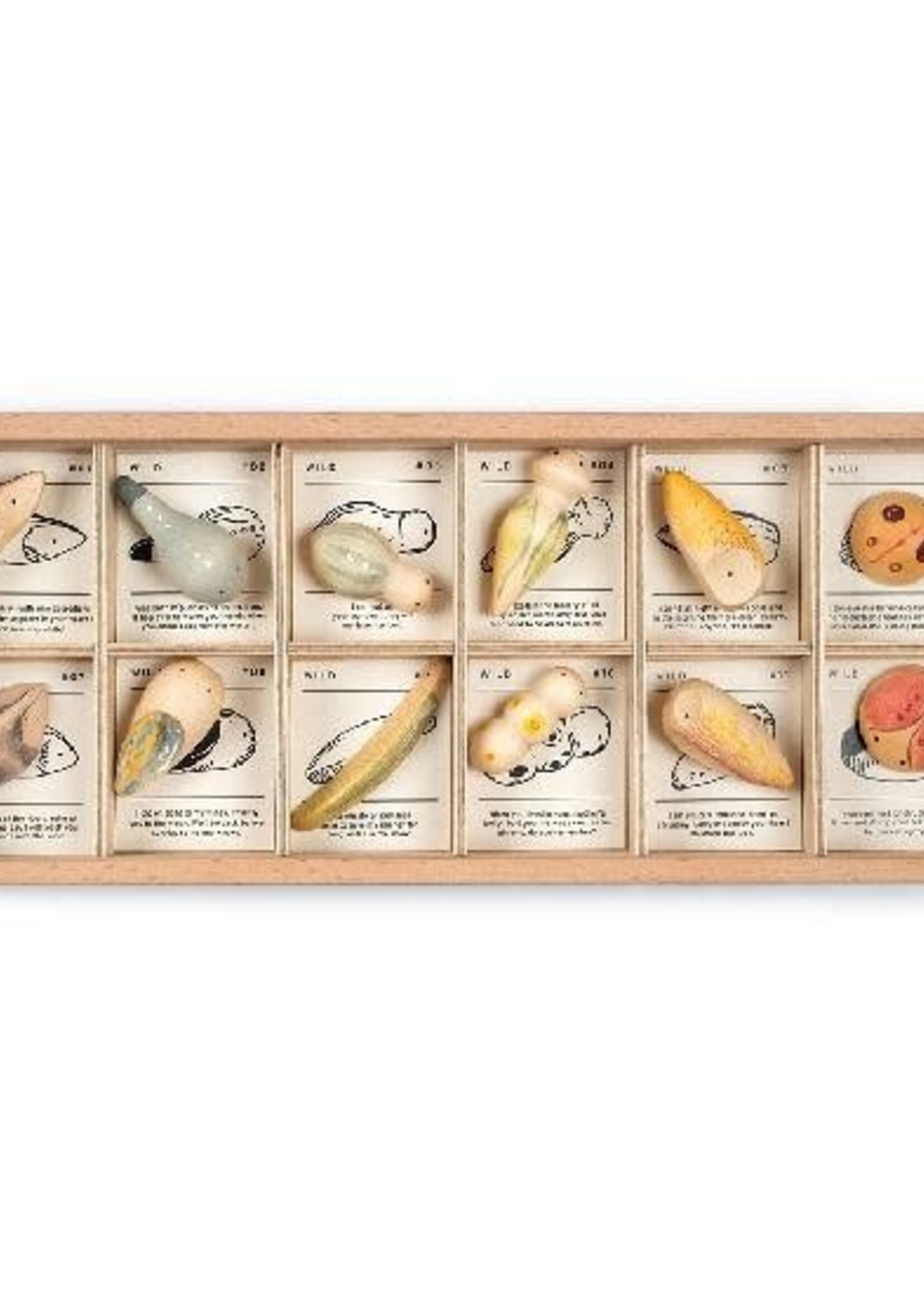 Grapat Grapat Wood Wild 12pcs with Tray