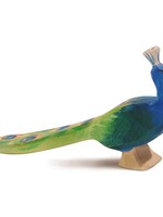 Ostheimer Peacock