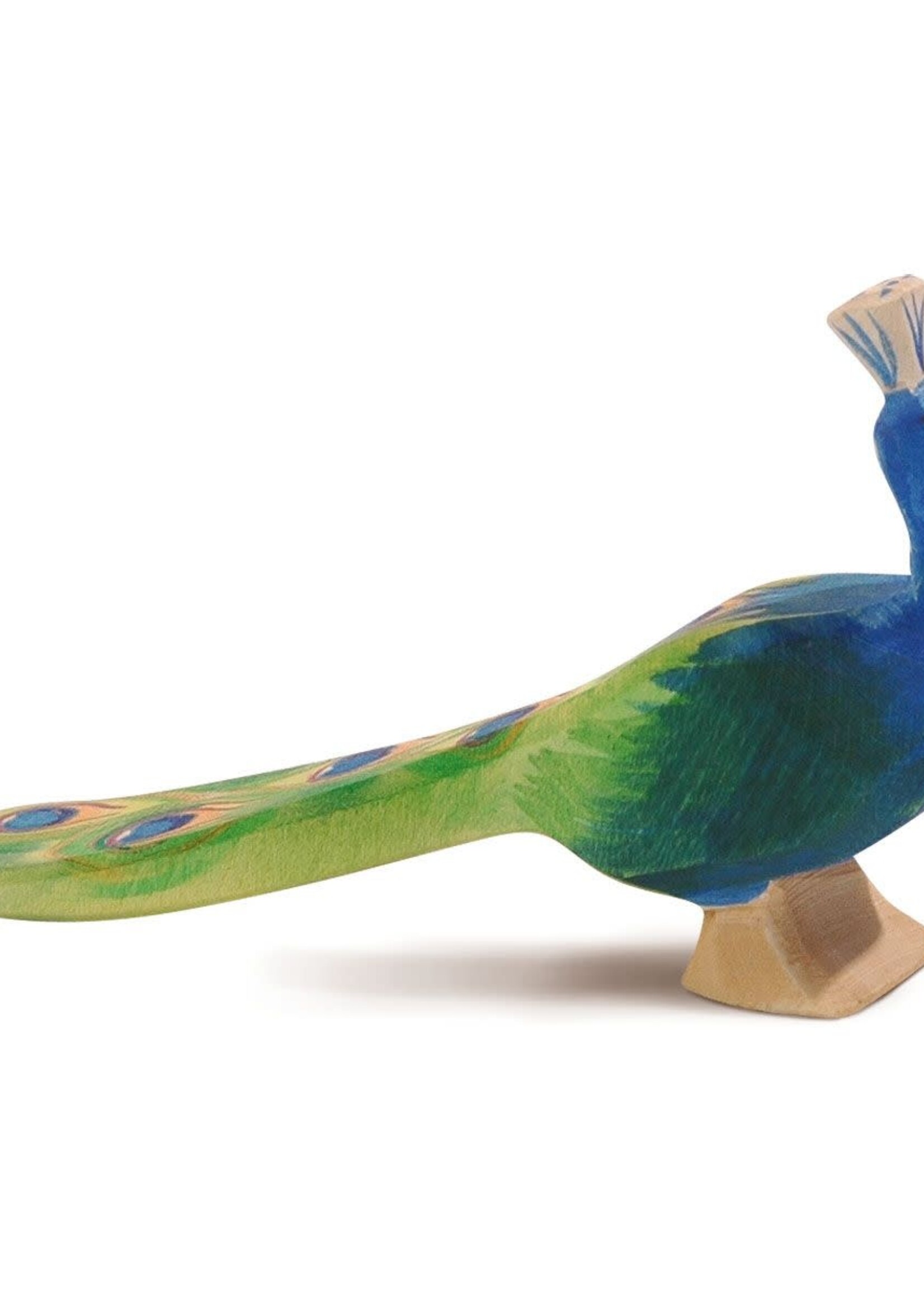 Ostheimer Peacock