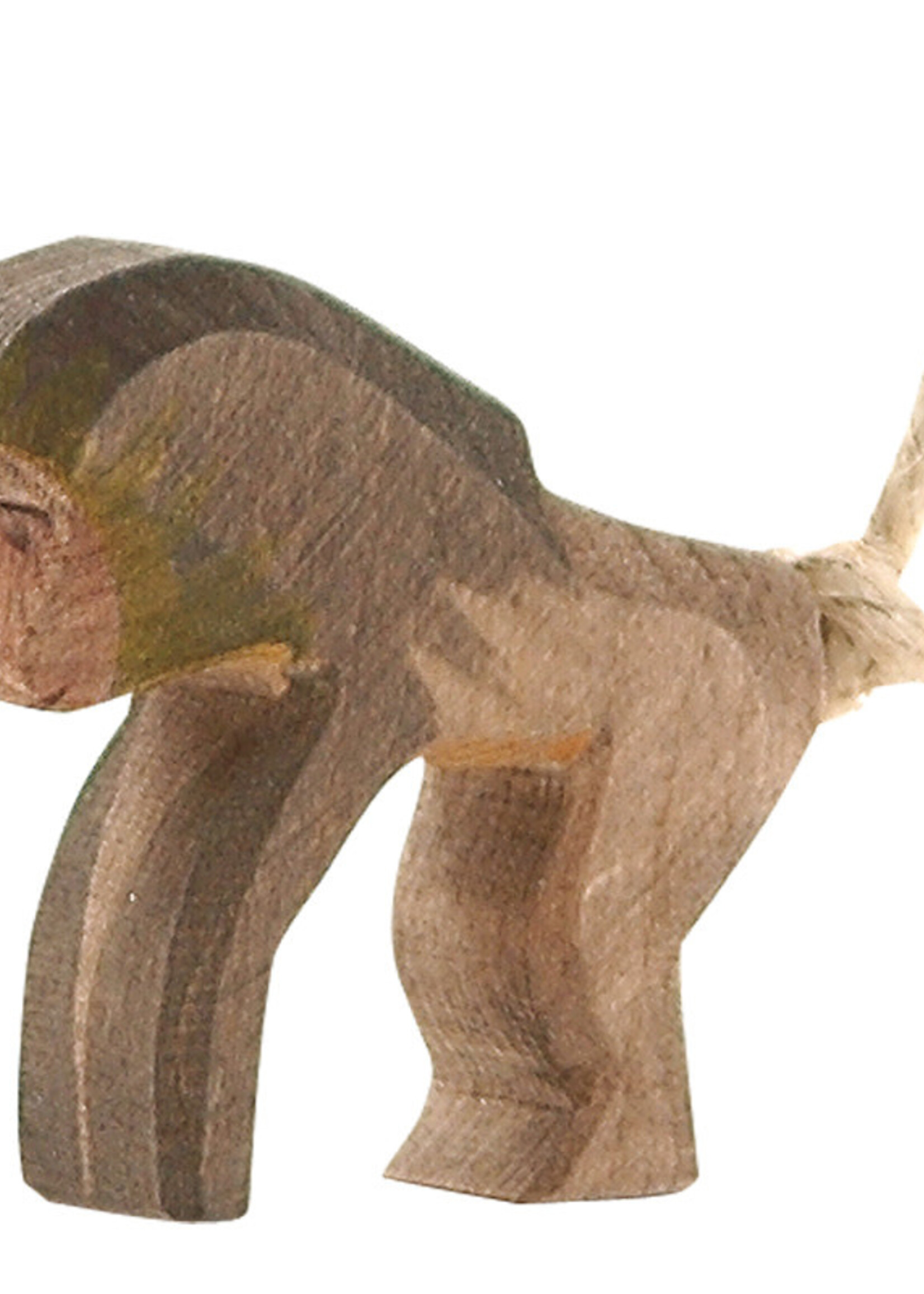 Ostheimer Baboon standing