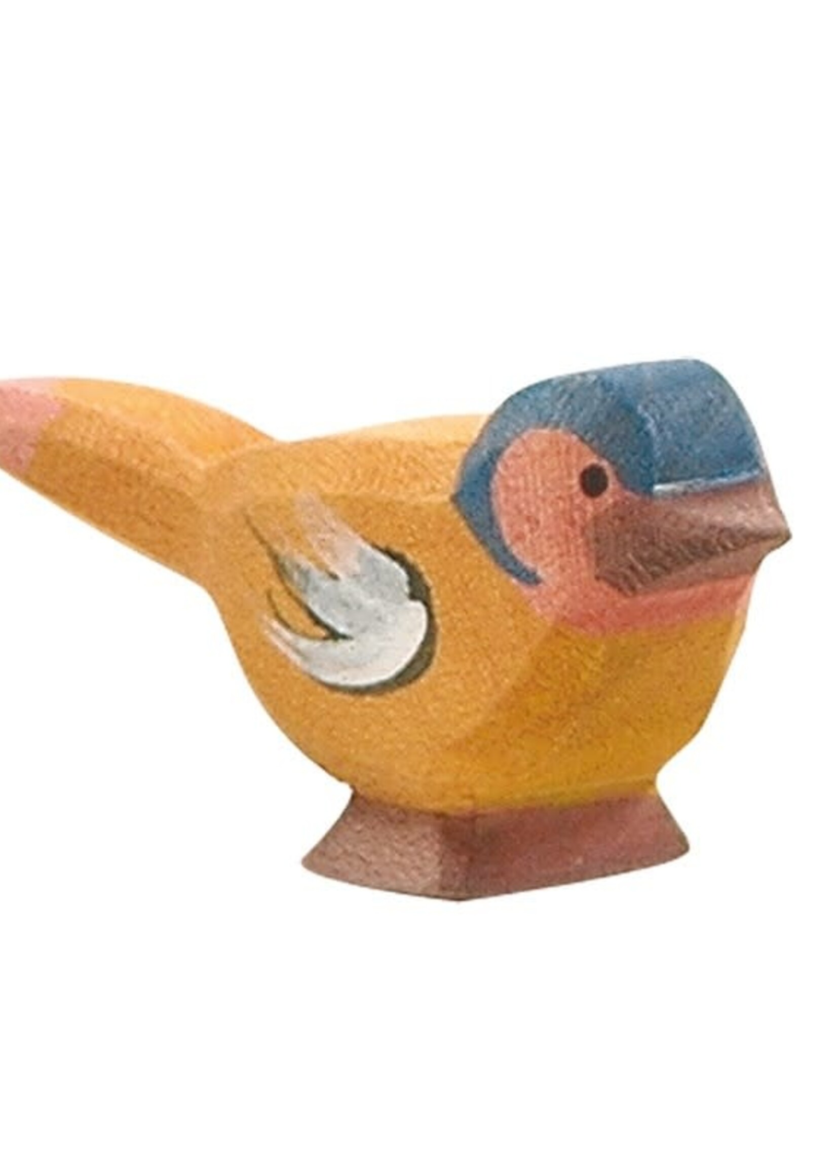 Ostheimer Chaffinch