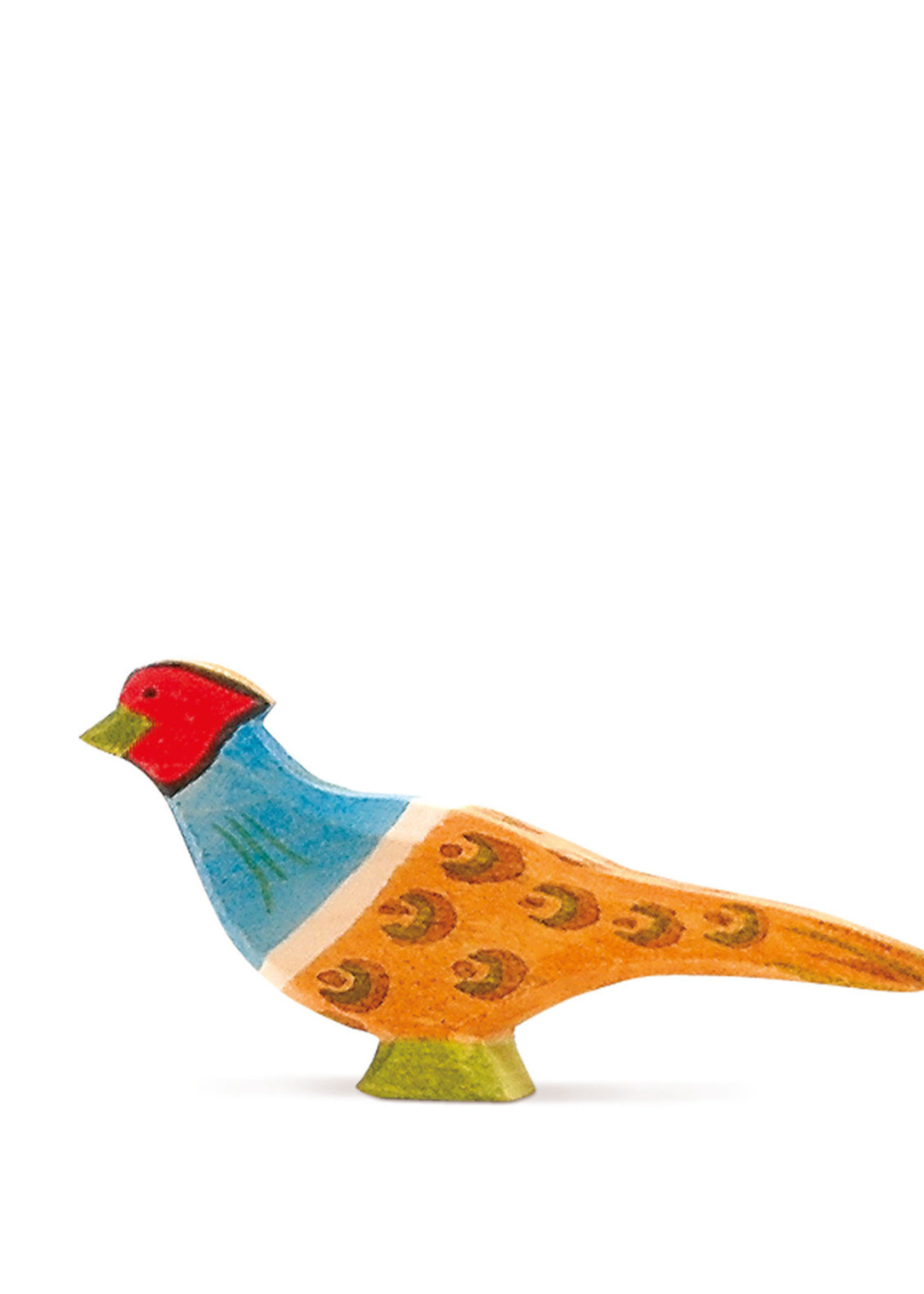 Ostheimer Pheasant