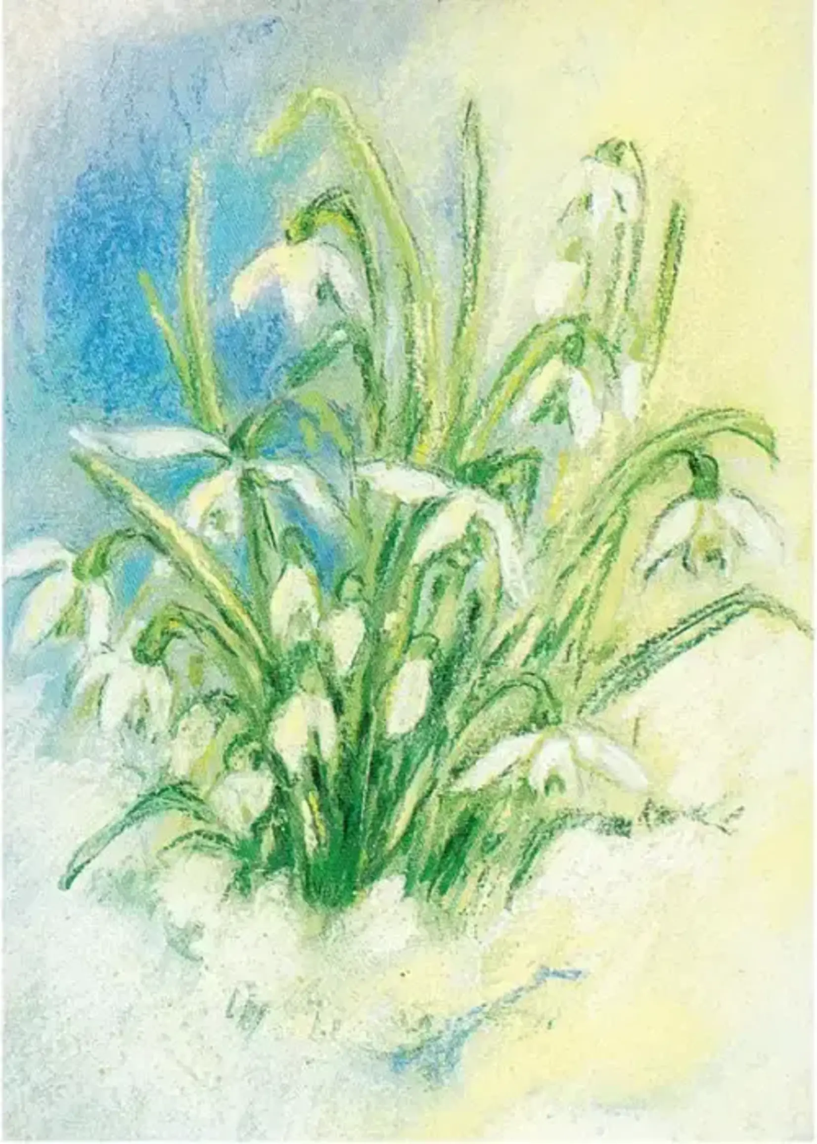 Marjan van Zeyl Marjan van Zeyl Postcard