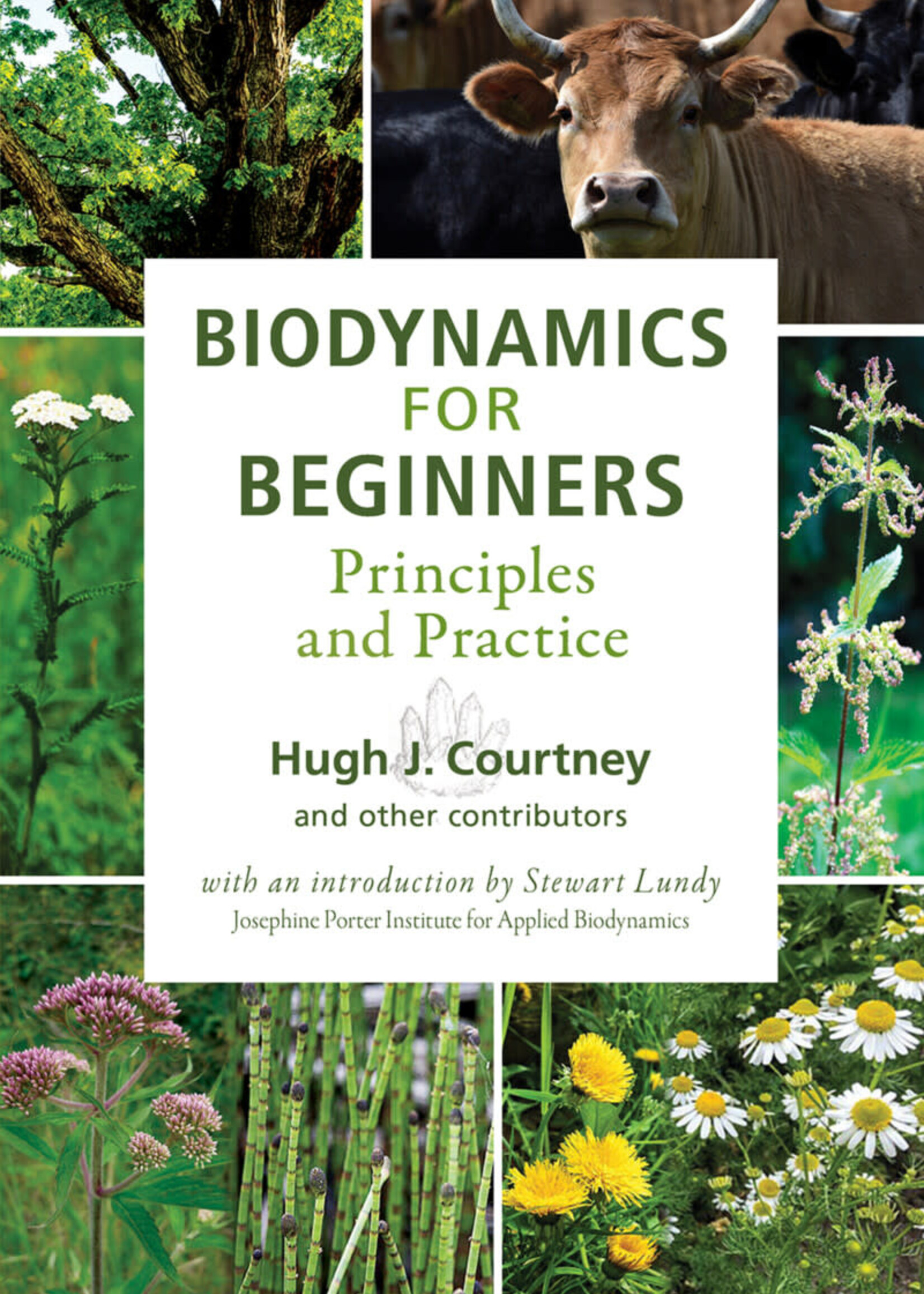 Portal Books Biodynamics for Beginners, Principles and Practice
