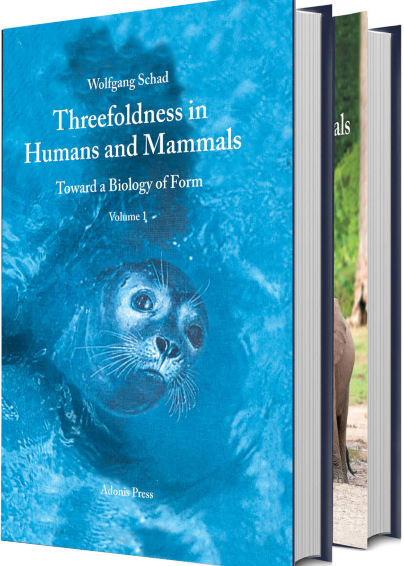 Adonis Press Threefoldness in Humans and Mammals - Toward a Biology of Form