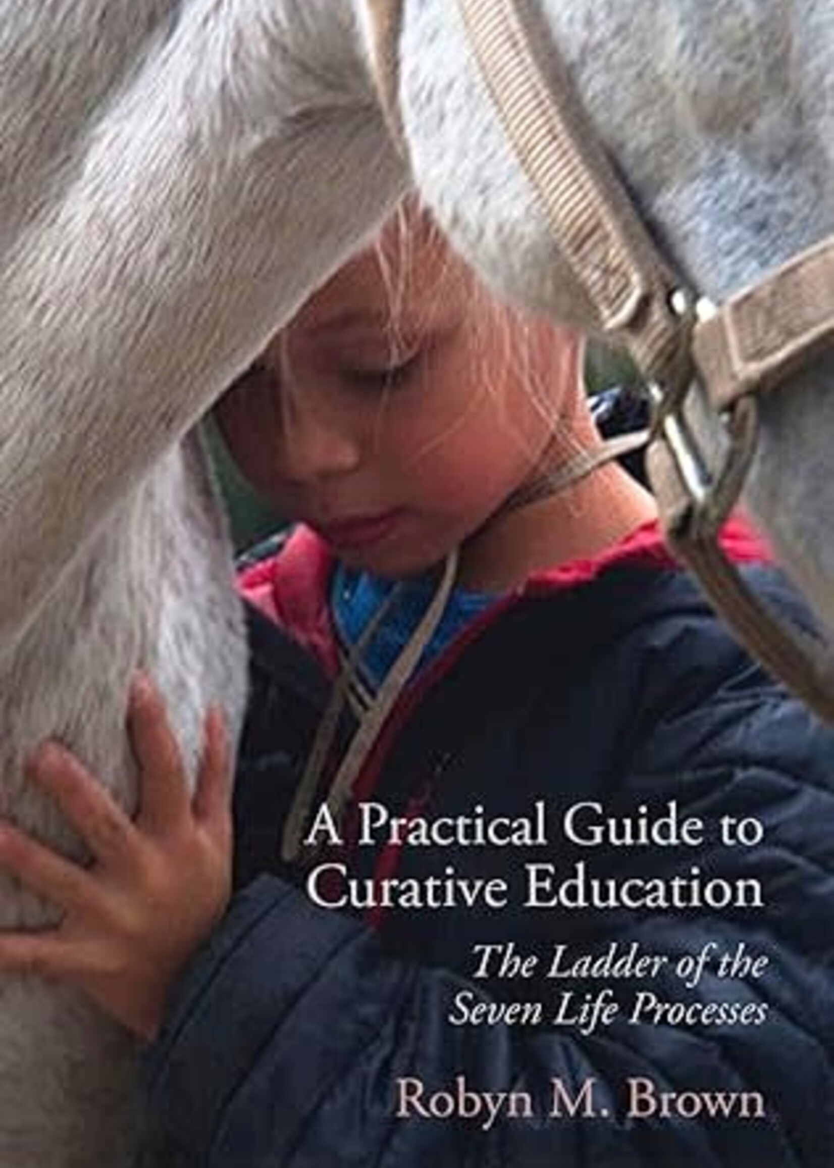 Lindisfarne Books A Practical Guide to Curative Education