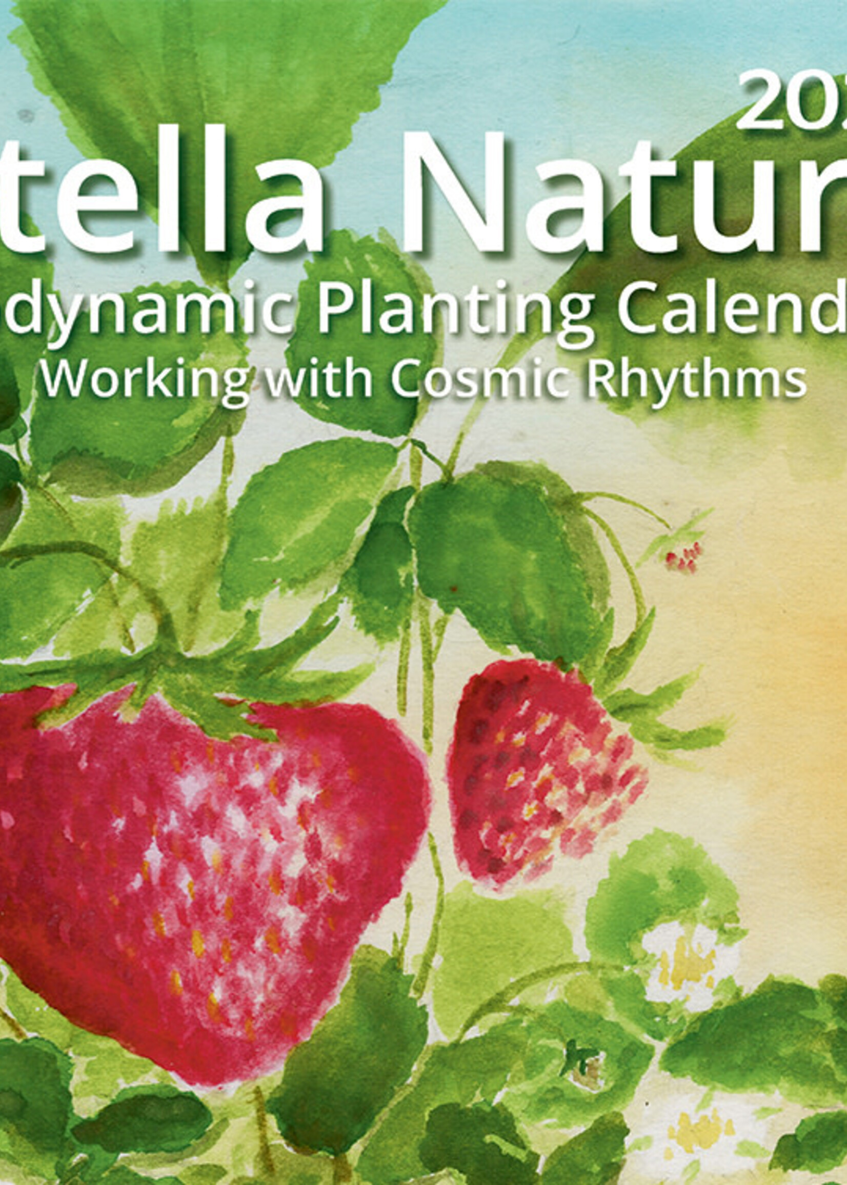 Stella Natura 2025 Biodynamic Planting Calendar