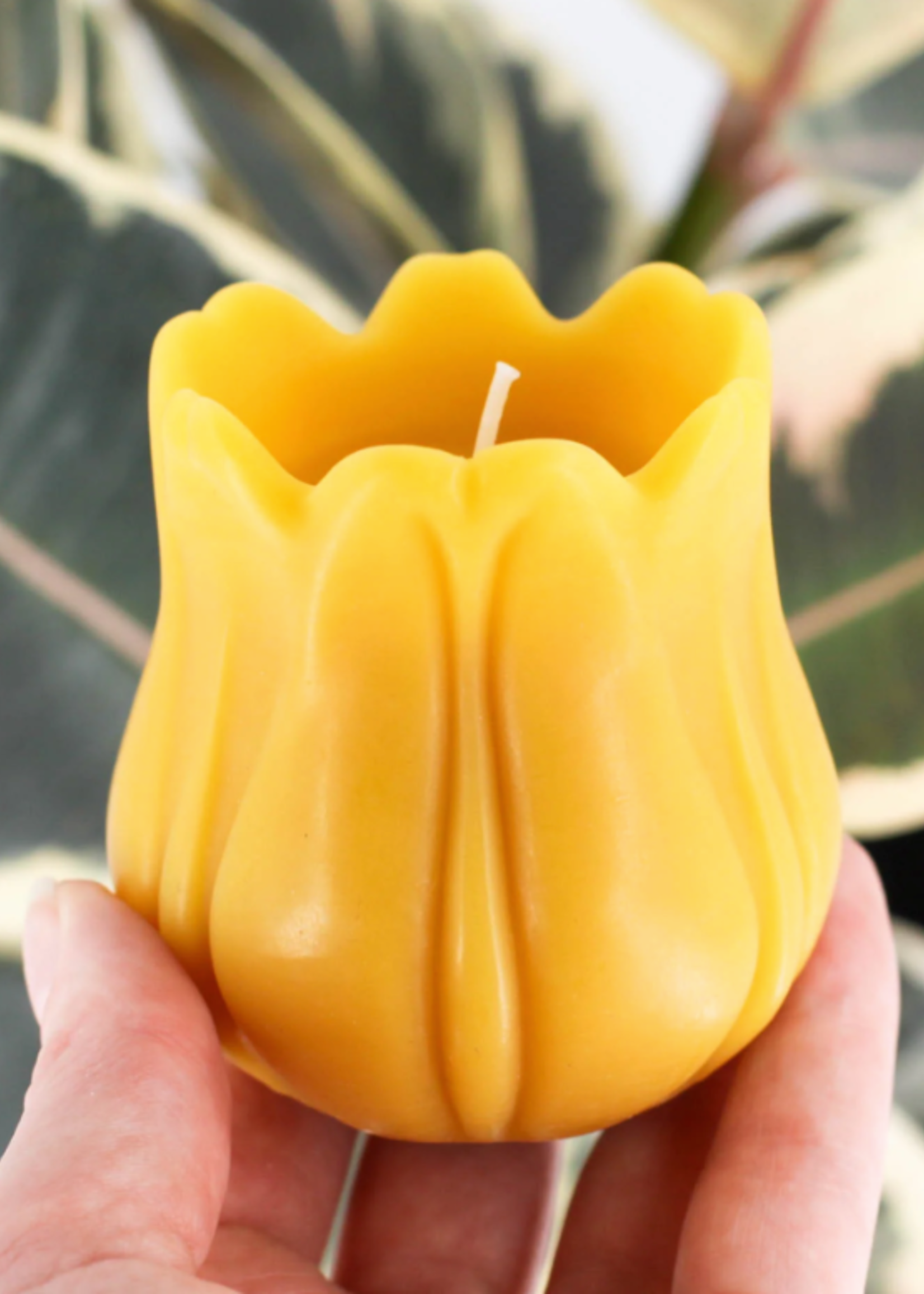 Honey Candles Honey Candles Natural Beeswax Tulip Candle