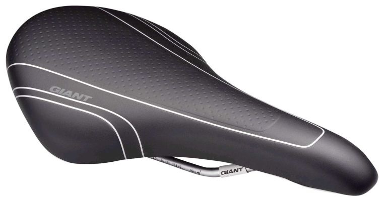 giant saddle