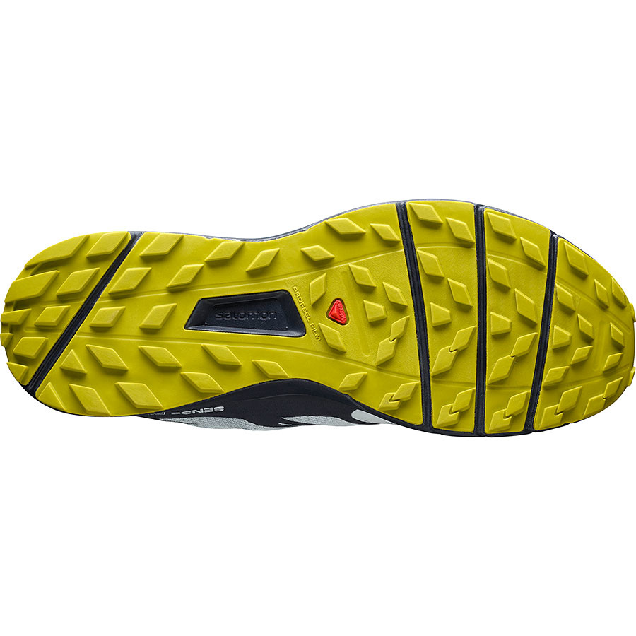 salomon men's sense ride 2