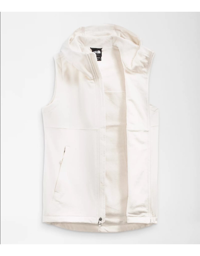 north face shelbe raschel vest