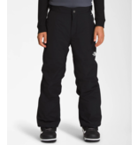 The North Face Boy's Freedom Insulated Pant