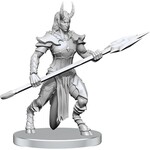 VORDINE (INFANTRY DEVIL) & PITBORN ROGUE - UNPAINTED WAVE 27