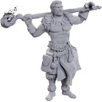 WIZARDS OF THE COAST ARCHDRUID & ADEPT D&D - UNPAINTED WAVE 24