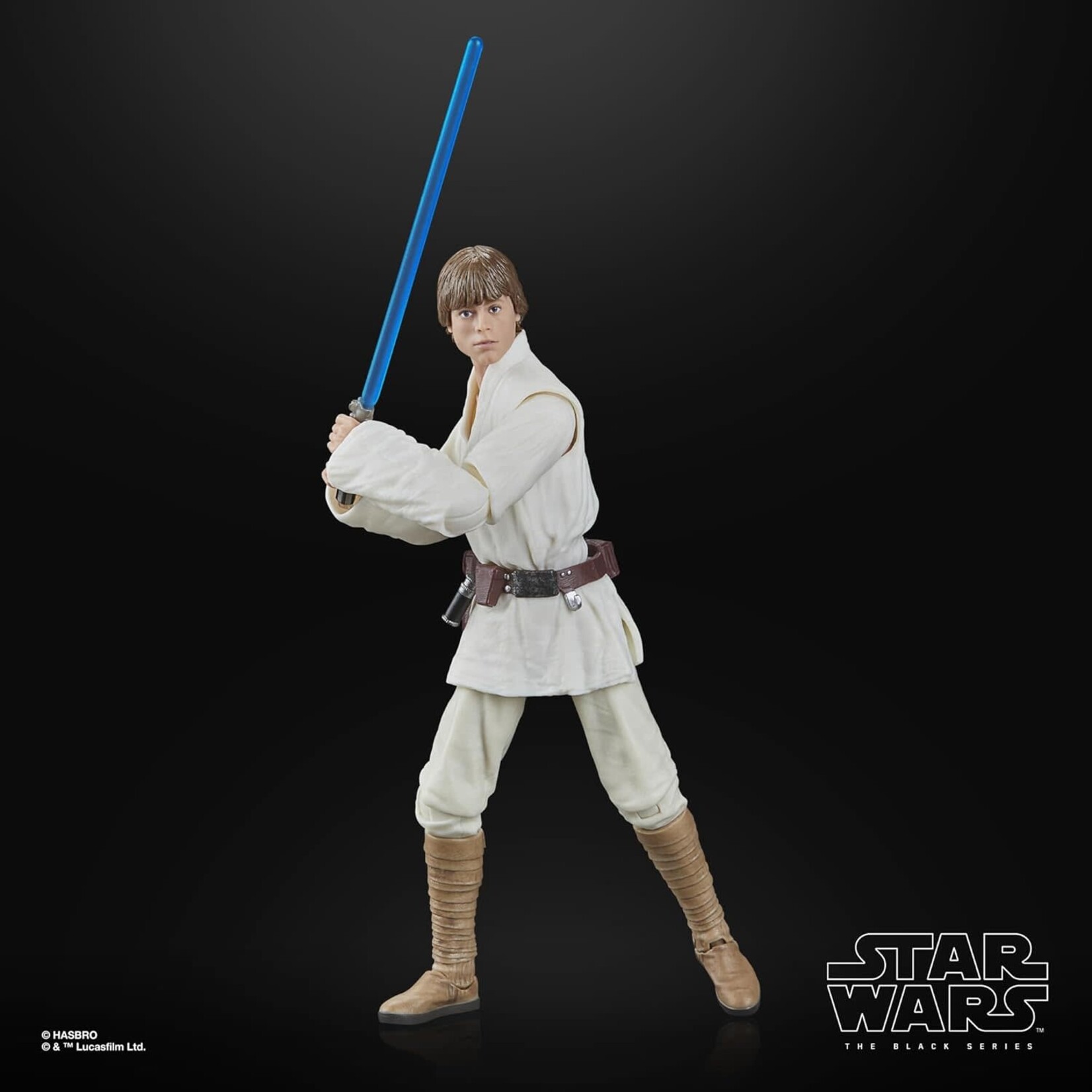 HASBRO LUKE SKYWALKER 09