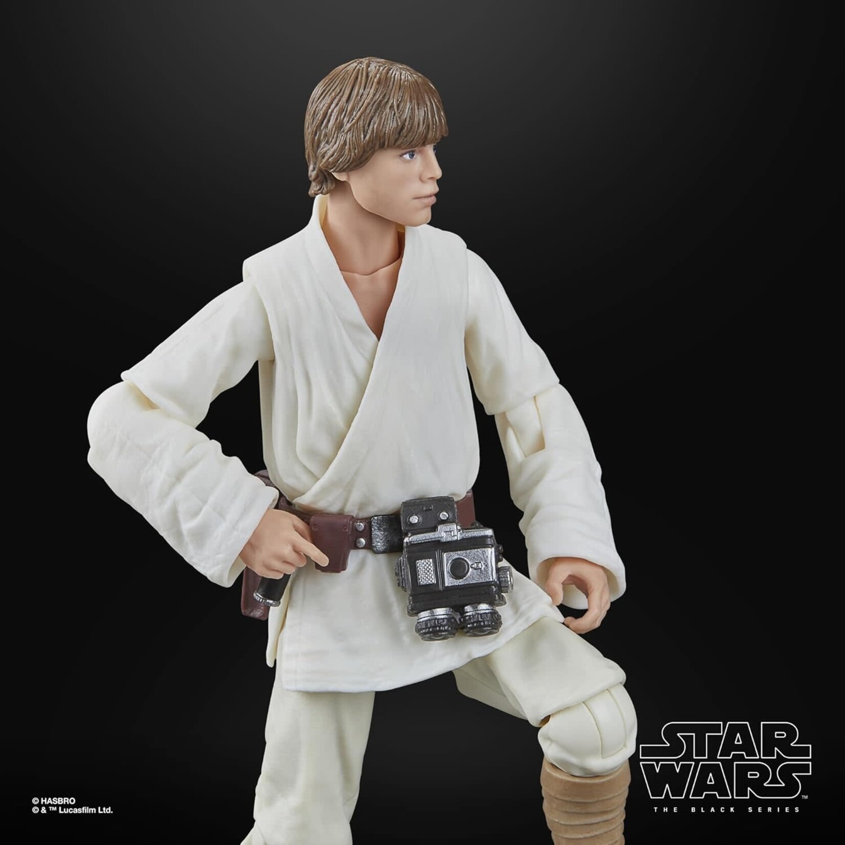 HASBRO LUKE SKYWALKER 09
