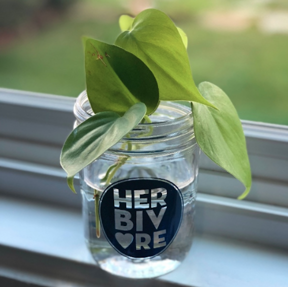 Praise the mason jar! It's a useful kitchen tool that you likely already have!