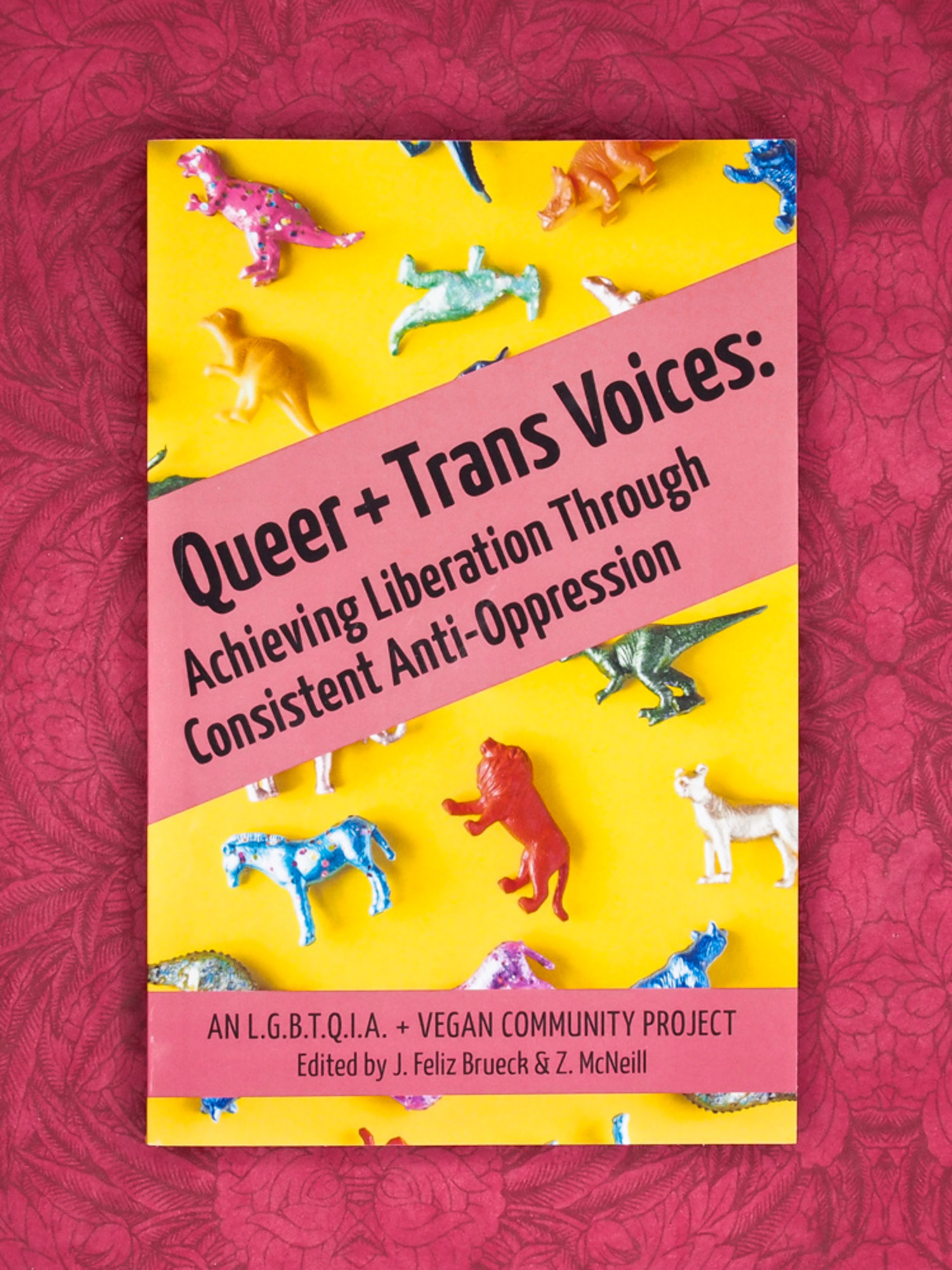 Queer And Trans Voices By J Feliz Brueck Z Mcneill Herbivore Co The Herbivore Clothing Company