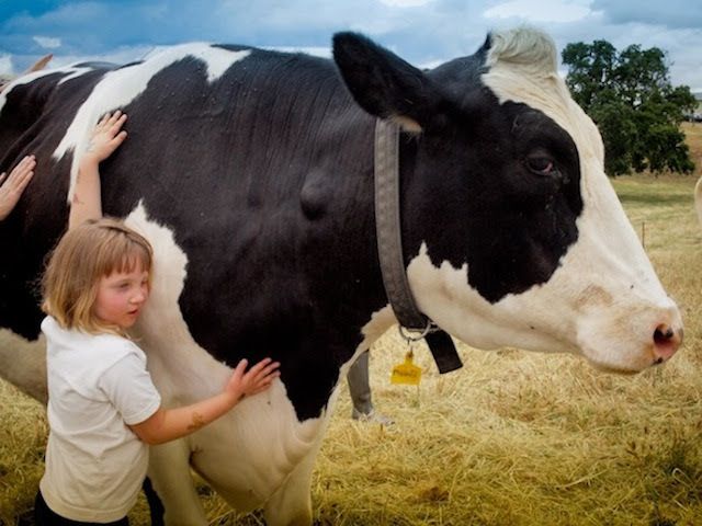 The weekend is here and it's full of vegan love, see?