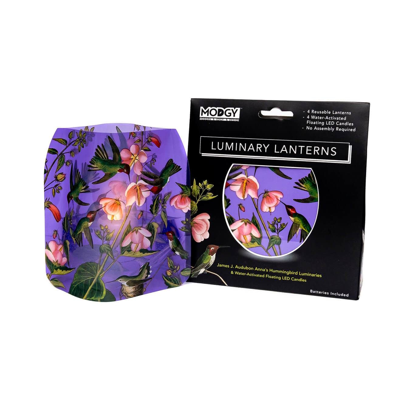 Modgy Luminary Hummingbird