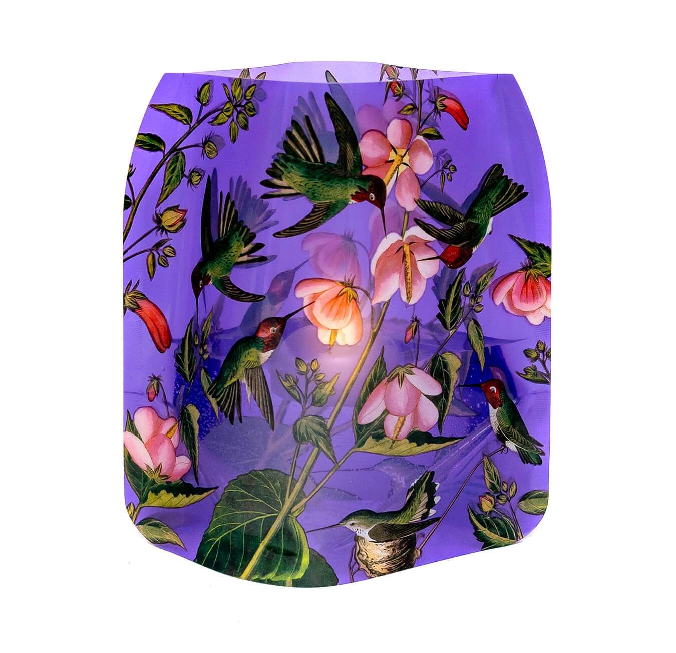 Modgy Luminary Hummingbird