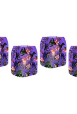 Modgy Luminary Hummingbird