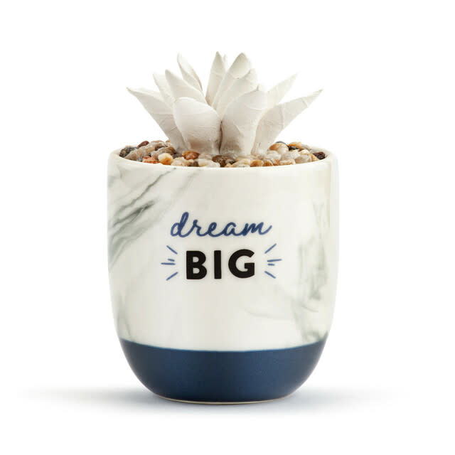 Demdaco Strong Beautiful You Succulent Oil Diffusers