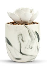 Demdaco Strong Beautiful You Succulent Oil Diffusers