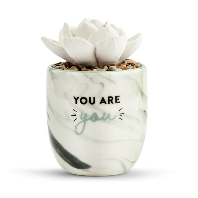 Demdaco Strong Beautiful You Succulent Oil Diffusers