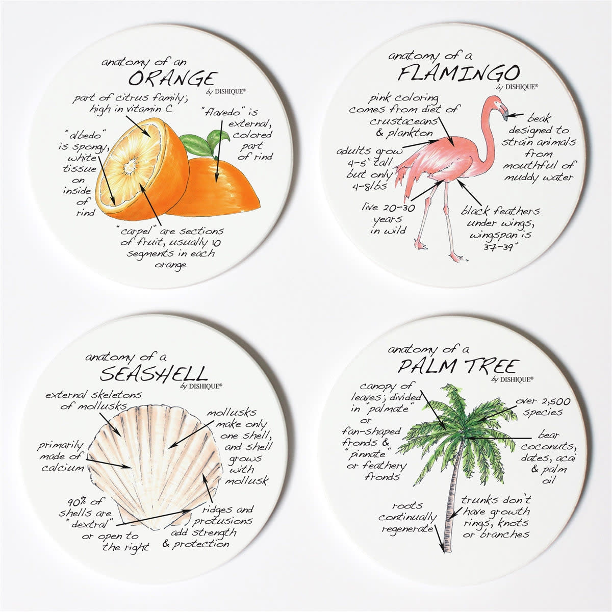 Dishique Florida Coasters Set of 4