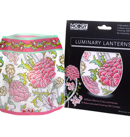 Modgy Luminary Chrysanthemums