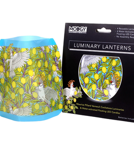 Modgy Luminary Cockatoos