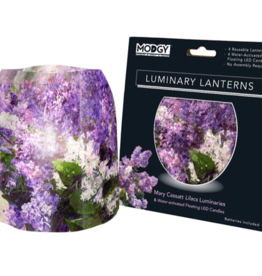 Modgy Luminary Lilacs