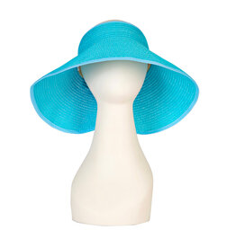 Blue Foldable Travel Visor